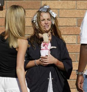 Britney no escarmienta &raquo; 28dw1