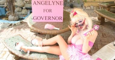 Angelyne for governor