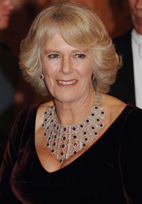 Consejos publicitarios » camilla 1a Consejos publicitarios » camilla 1a