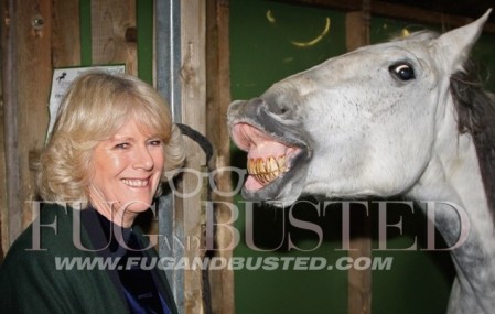 Camilla Parker Bowles y Sarah Jessica Parker