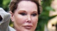 Jocelyn Wildenstein
