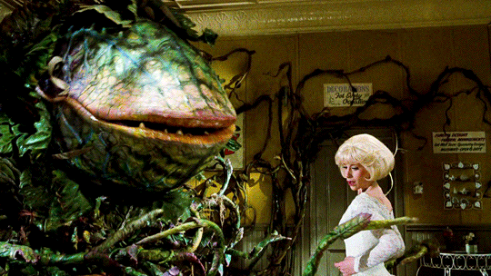 Little Shop of Horrors - Monster plant